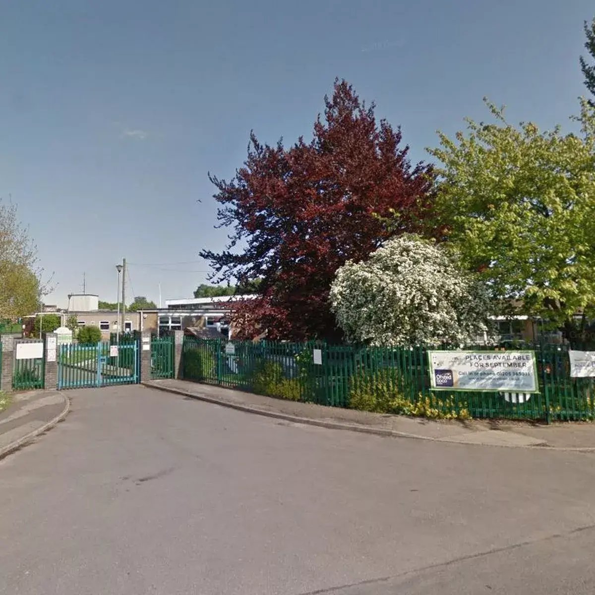0_hawthorn-tree-schoolJPG