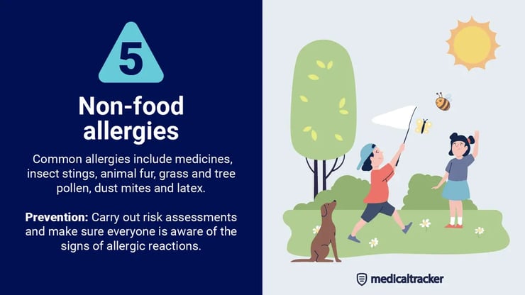 Non-food allergy risks