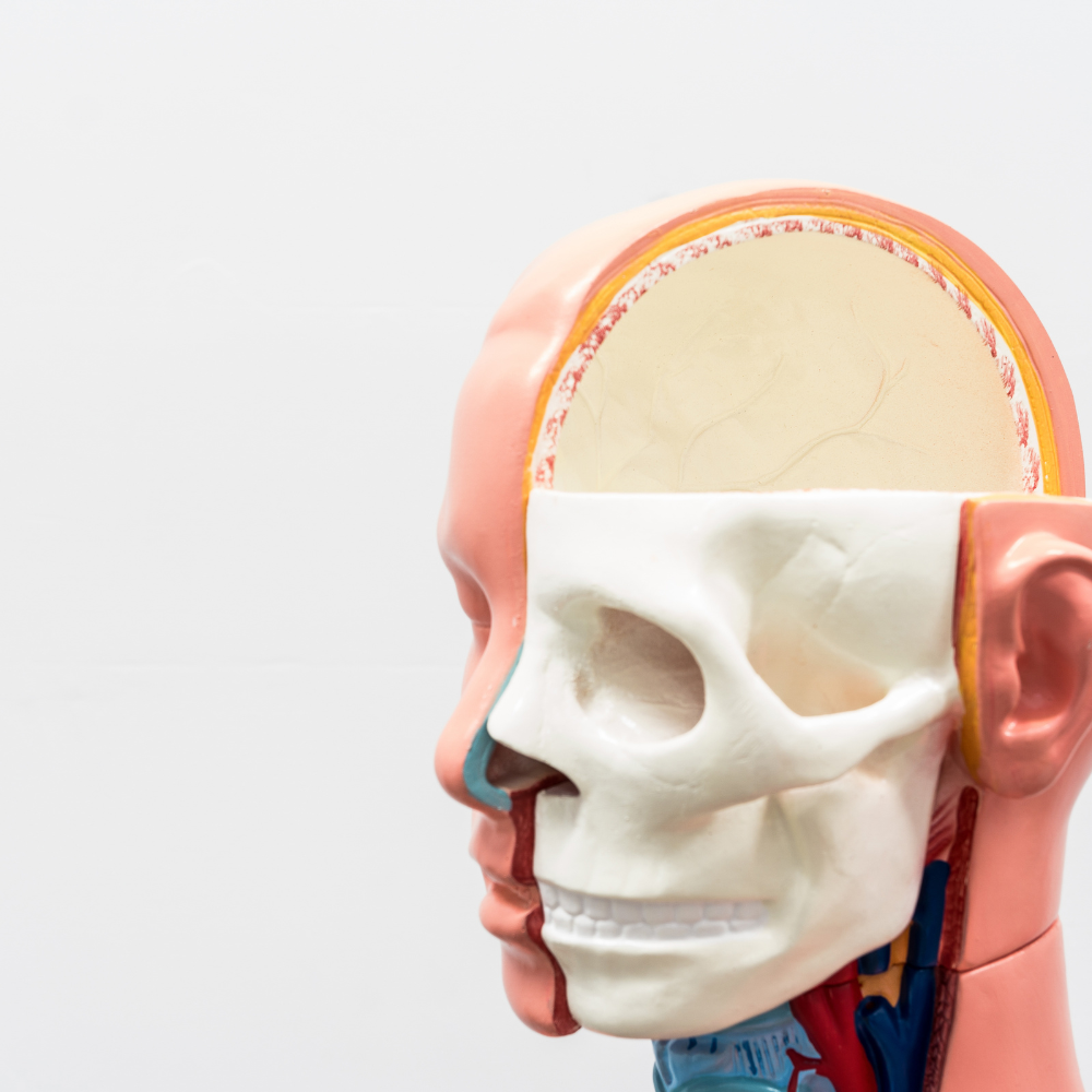 Spotting the signs of concussion