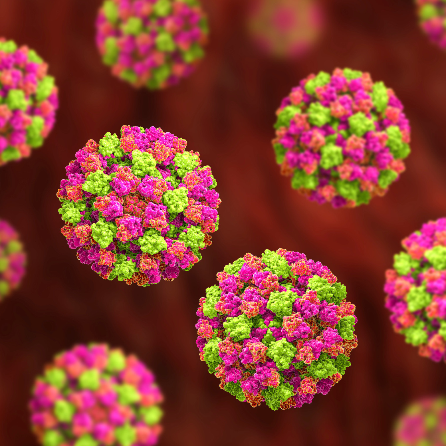 Managing norovirus