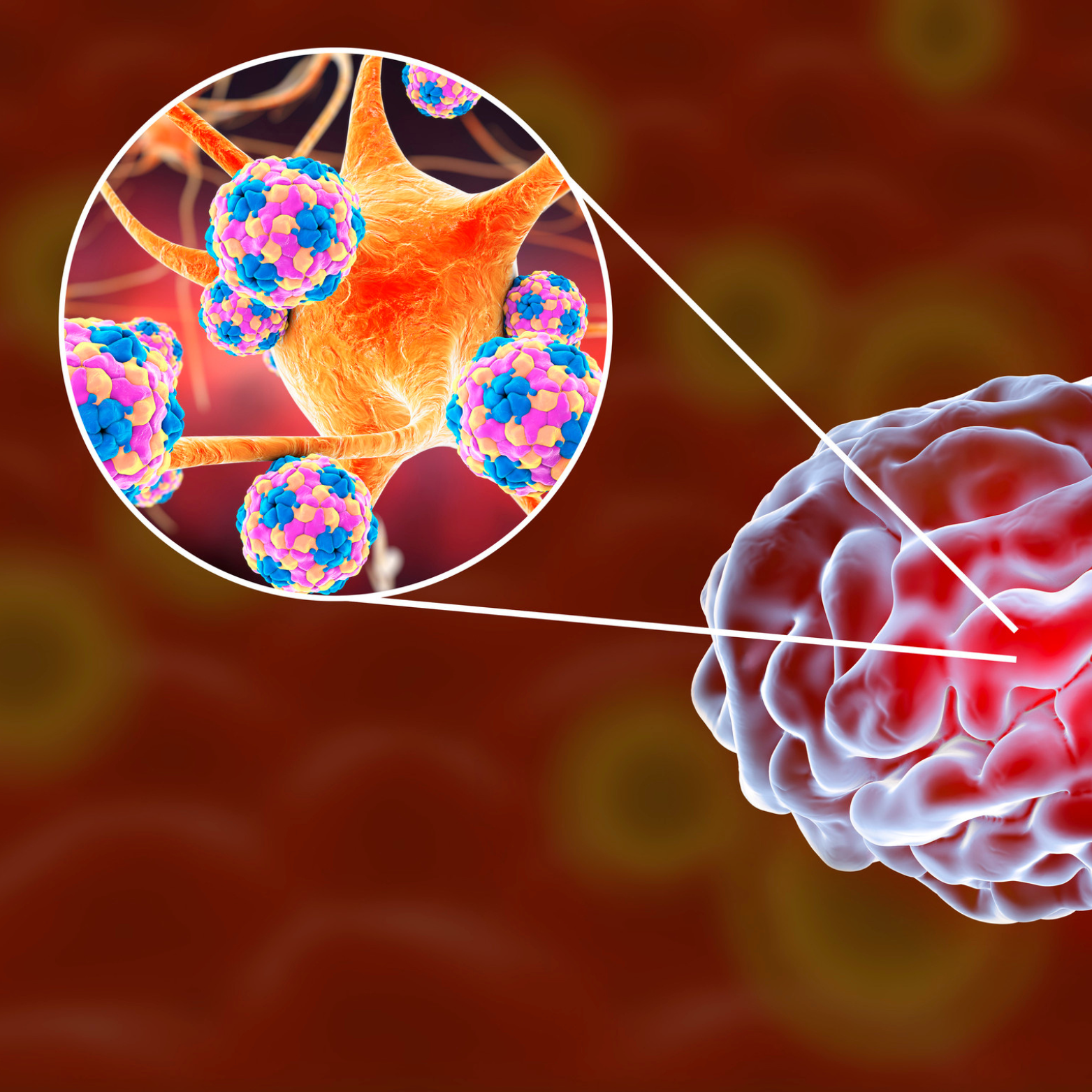 Meningitis: Action, Information and preparation