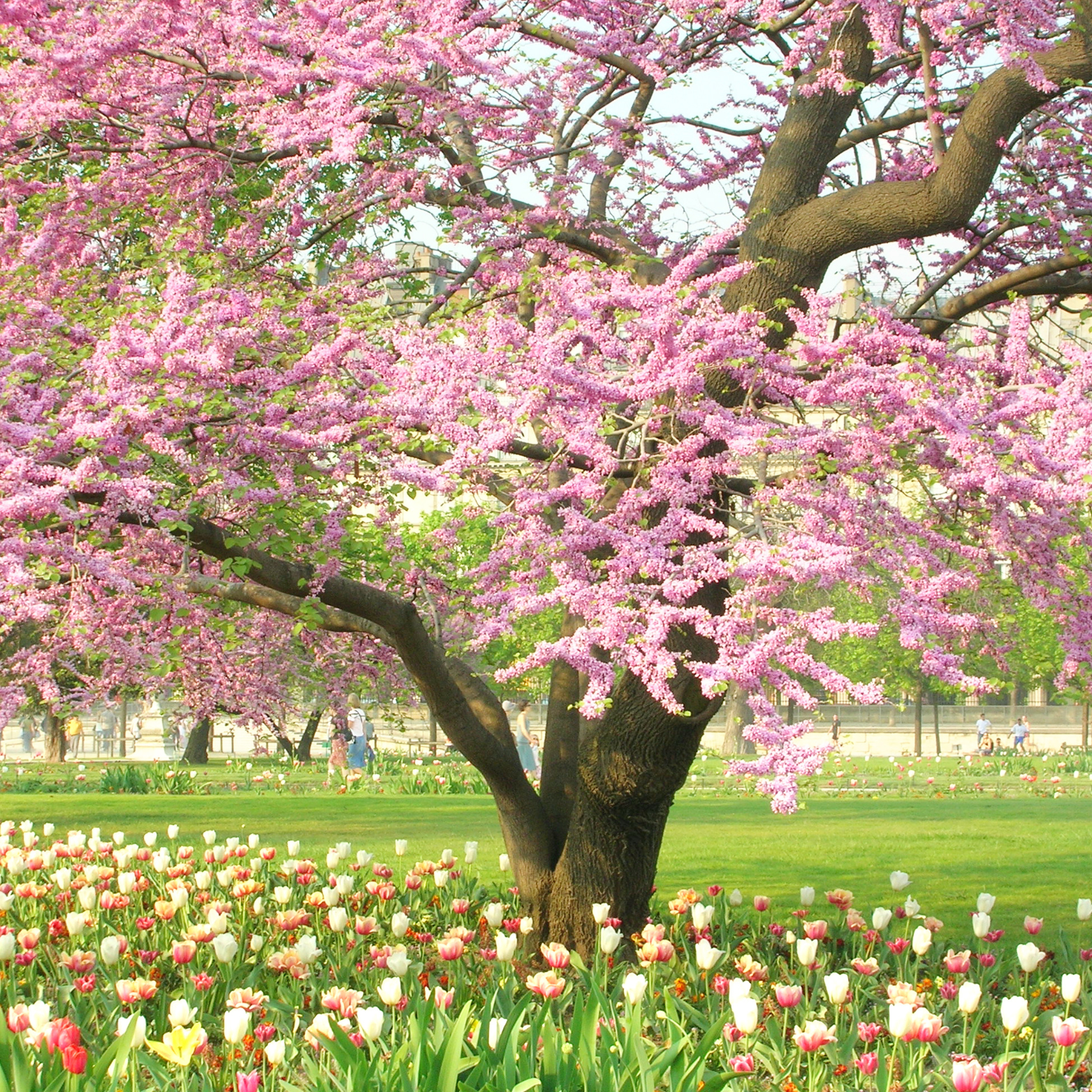 Spring term: Health data updates to keep an eye on